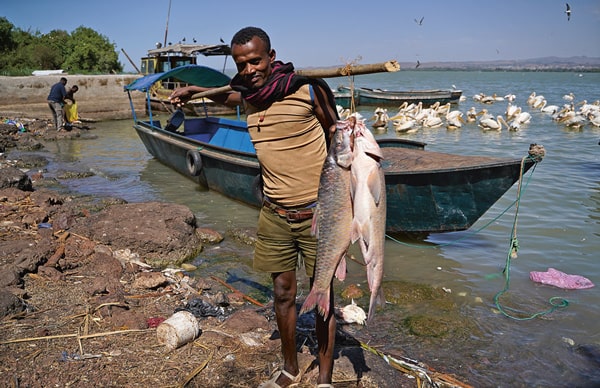 Belle pêche pour Abyi, trente-quatre ans, quatre enfants. Il a tenu à venir de chez lui, de l’autre côté du lac pour vendre ces gros barbeaux à des cients prévenus par téléphone.
