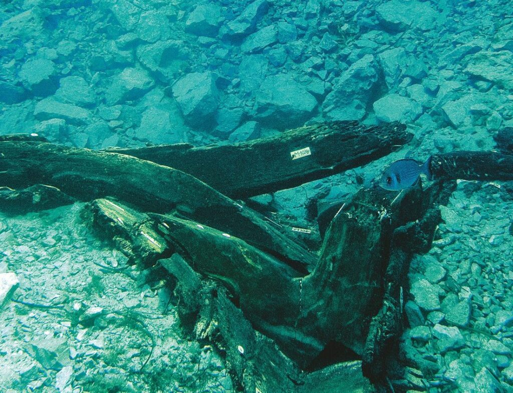 Photo d'un bout d'une épave d'un bateau en bois.