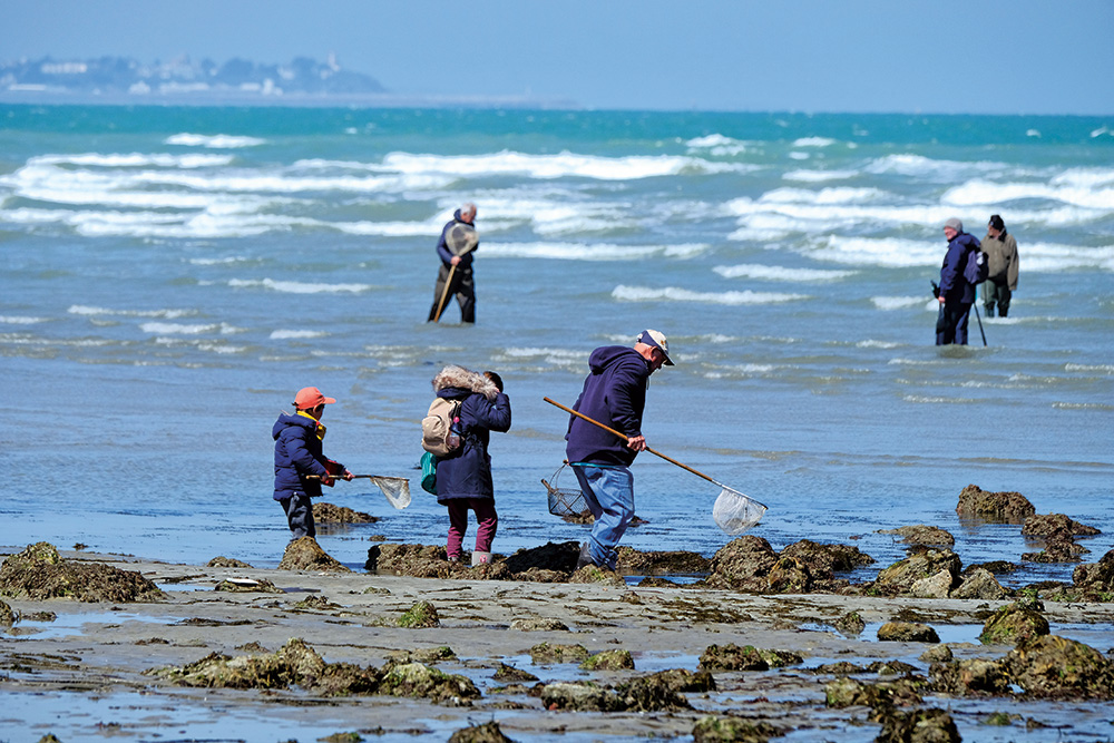 Pêche à pied : conseils pratiques, réglementation, techniques de pêche