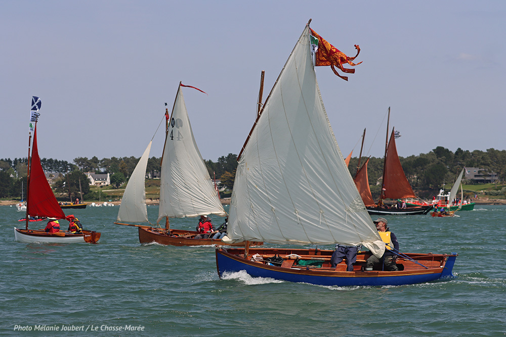 Semaine du Golfe, photos bonus