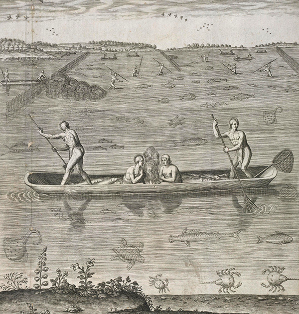 Gravure de Théodore de Bry représentant la pêche des Amérindiens, publiée dans l’ouvrage de Thomas Hariot, 
A brief and true report of the new found land of Virginia (1588), 
où l’on voit des limules au premier plan. 
Les pêcheurs attachaient au bout 
de roseaux ou de cannes leur aiguillon pour s’en servir de harpon. © ALBUM/BRITISH LIBRARY/ALAMY BANQUE D’IMAGES