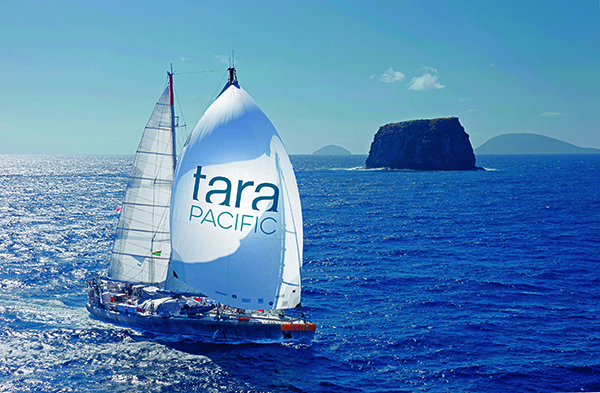 Francis Latreille  - Fondation Tara Ocean