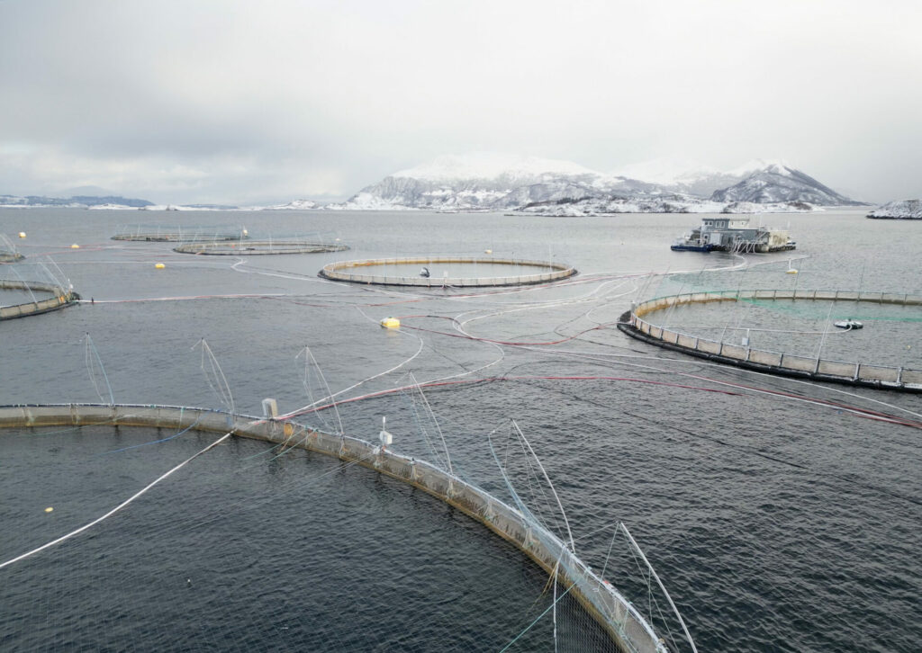 Entretien. « Quel modèle pour l’aquaculture ? » avec José Péréz Agùndez et Pascal Raux du laboratoire de recherche Amure