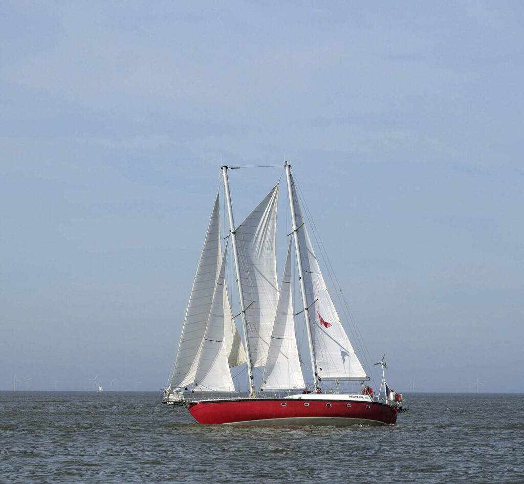 Le BIP du mois. 146 nouveaux bateaux d’intérêt patrimonial